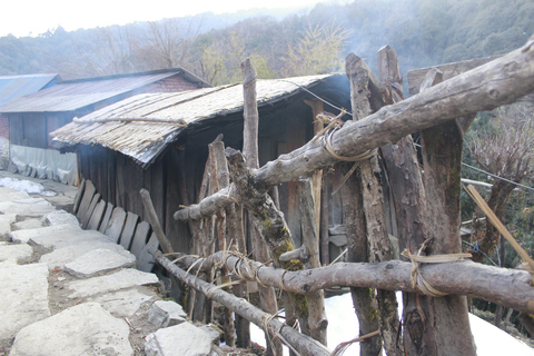 Découvrez la magie de Poon Hill : Un trek de 4 jours au départ de Pokhara