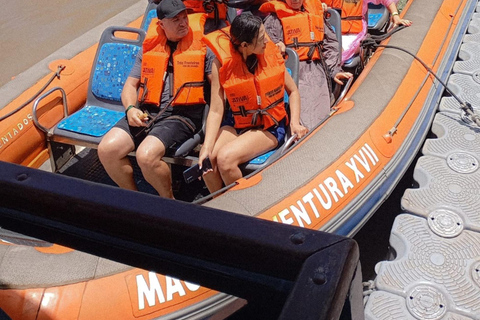 Iguassu Falls Waters Pilgrimage: Nature Meets Grace