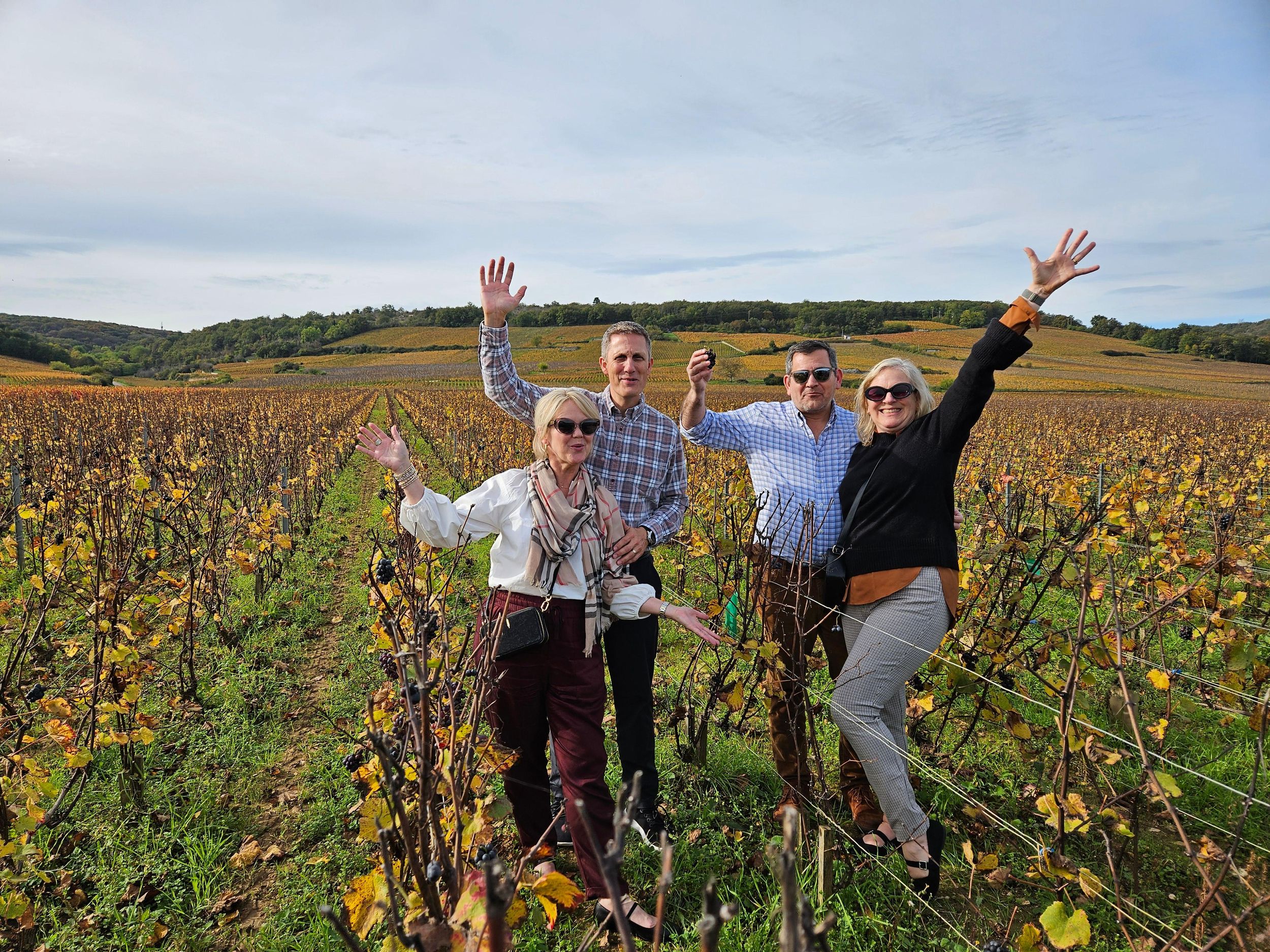 Geführte Besichtigung und Verkostungen in der Côte de Beaune