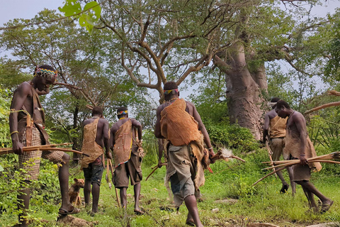 Safari de 2 días con la tribu HadzabeTribu Hadzabe de 2 días