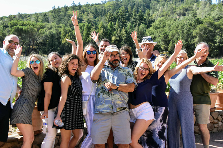 Sonoma Valley: Guided Winery Tour with Picnic Lunch