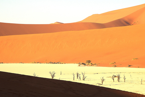 From Windhoek: 12-Day Namibia Camping Trip