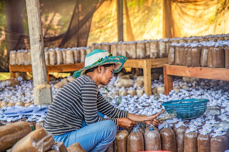 Siem Reap, Guided Countryside Bike Tour - Housity