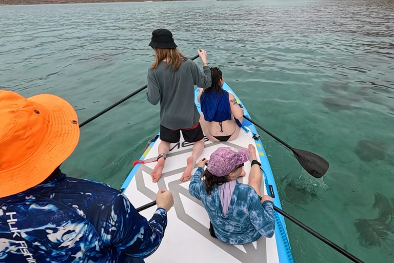 La Paz: Sea Lions & Mega-Paddleboard Tour in Espiritu Santo