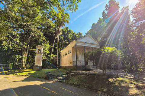 Rio de Janeiro: Botaniska trädgården och Tijuca Forest Jeep TourFrån hotell i södra zonen: Tysktalande