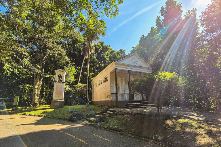 Rio de Janeiro: Botaniska trädgården och Tijuca Forest Jeep TourFrån hotell i södra zonen: Tysktalande