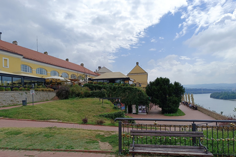 From Belgrade: Novi Sad & Fruska gora & winery and monastery