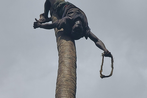 Entdecke die Gewürzfarm Tour und das Abenteuer Gefängnisinsel