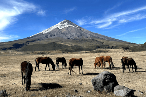 1 Tag Abenteuer in Cotopaxi und Quilotoa von Quito ausGemeinsame Tour