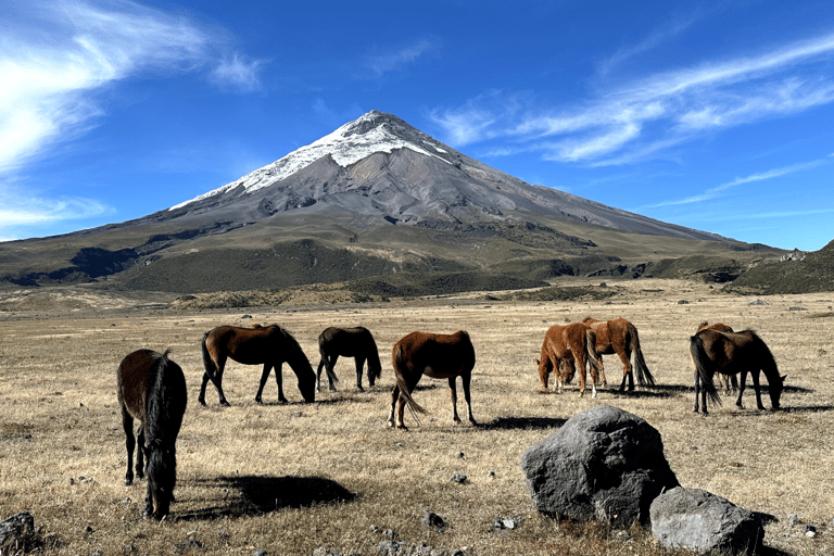 1 Tag Abenteuer in Cotopaxi und Quilotoa von Quito ausGemeinsame Tour