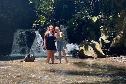 Monkey River, Ubud Market, Waterfall and Art Village Ubud Tour include Ticket