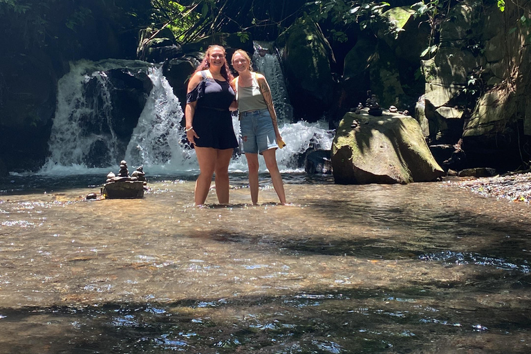 Monkey River, Ubud Market, Waterfall and Art Village Ubud Tour include Ticket