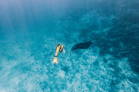 Nusa Penida: Snorkeling con le mante e la barriera corallinaGita privata: Snorkeling a Manta Bay