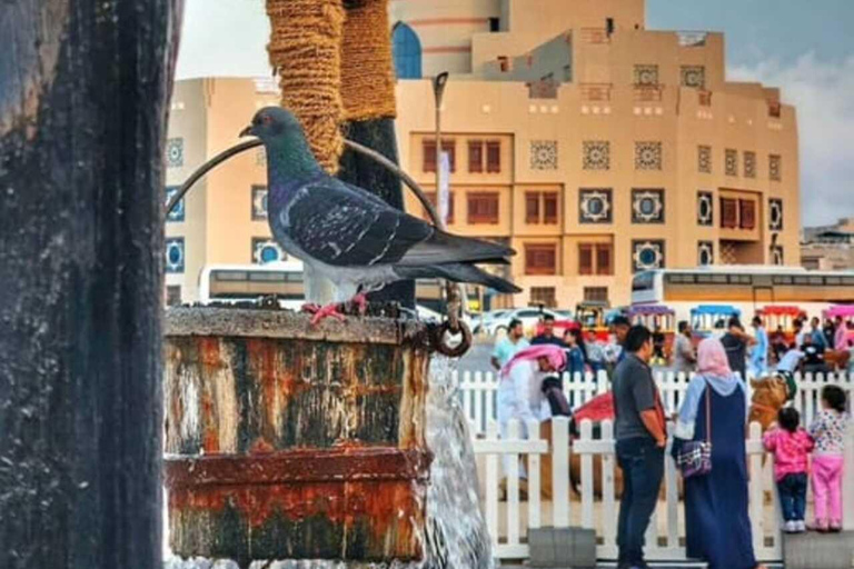 Doha: tour guiado por la ciudad de 4 horas con recogida en el aeropuerto y en el hotel