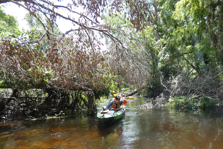 Blackwater Creek: Exclusive Nature Escape Kayak Adventure Blackwater Creek: Exclusive Wilderness Kayak Adventure