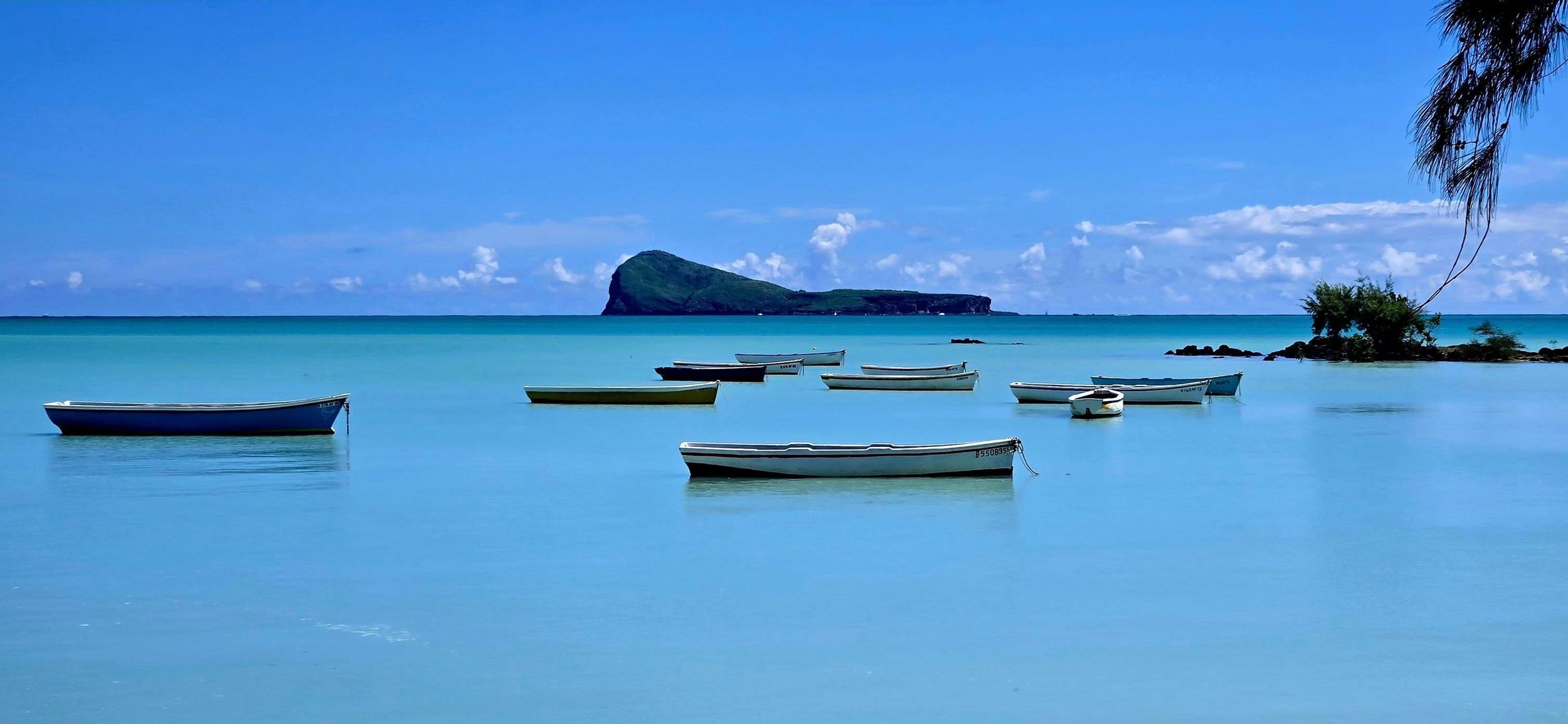 Mauritius: Tour zu versteckten Highlights mit ortskundigem Guide