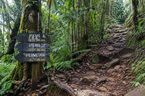 Discover mount of salak national park day trip from jakarta
