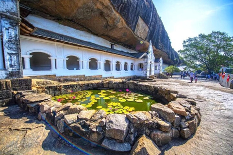 From Colombo: Dambulla, Sigiriya, and Jeep Safari Day Trip