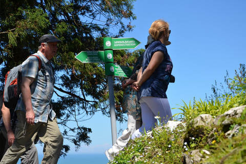 Zwarte Zee: Tocht langs het magnetische strand en de botanische tuin van Batumi