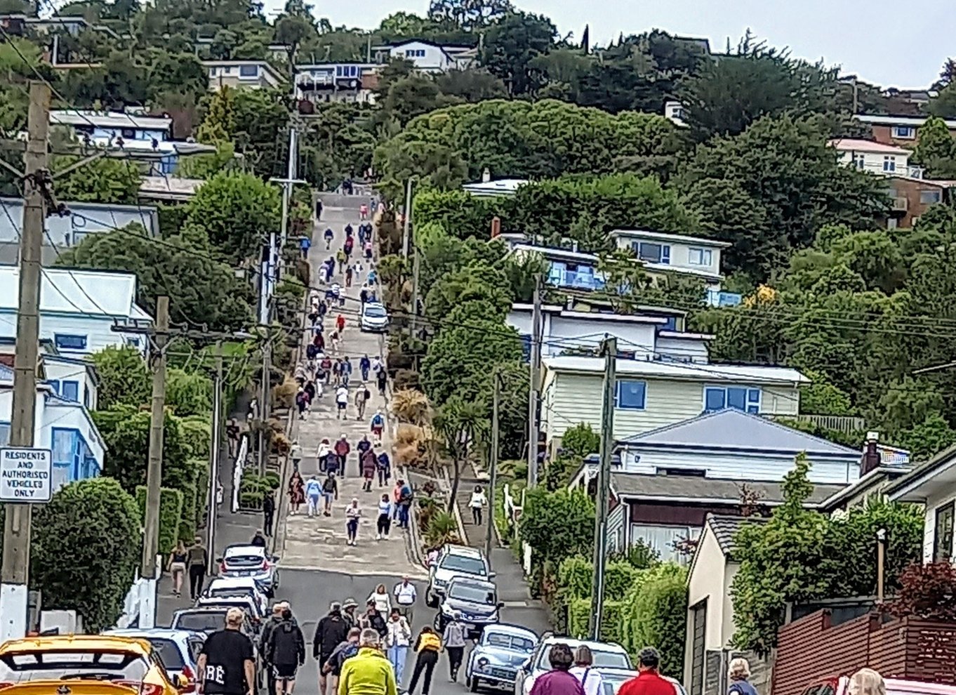 Dunedin: Otago-halvøen med guidet pingvintur