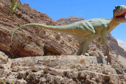 Arequipa:Dead Bull Petroglyphs, Querulpa Park and Chancharay