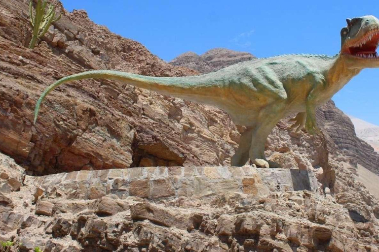 Arequipa:Dead Bull Petroglyphs, Querulpa Park and Chancharay