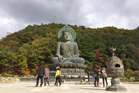 Seoul: Seorak Mountain+Nami Island+Eobi Ice Valley Tour Group Tour, departing from Hongik Univ. Station