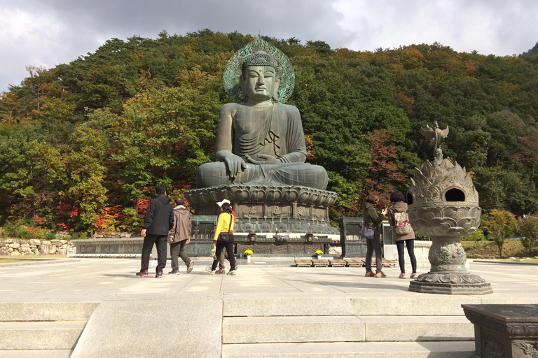 Seoul: Seorak Mountain+Nami Island+Eobi Ice Valley Tour Group Tour, departing from Hongik Univ. Station