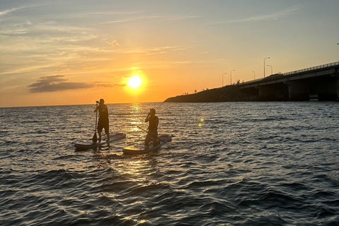 Nago Okinawa: SUP Adventure at Private Beach with Instructor
