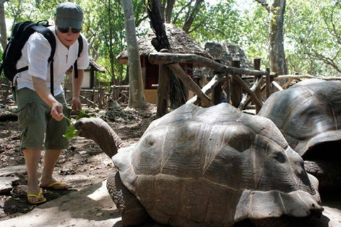 Zanzibar: Private Stone Town & Prison Island Tour. Zanzibar: Private Stone Town & Prison Island with Transfer.