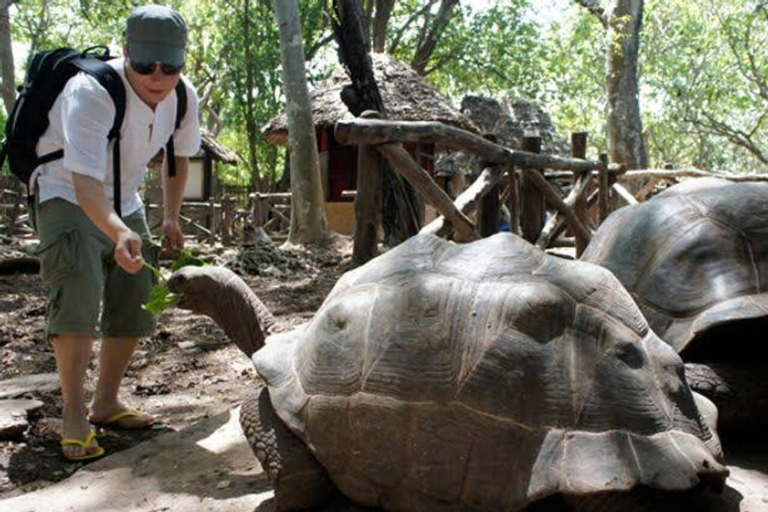 Zanzibar: Private Stone Town & Prison Island Tour. Zanzibar: Private Stone Town & Prison Island with Transfer.
