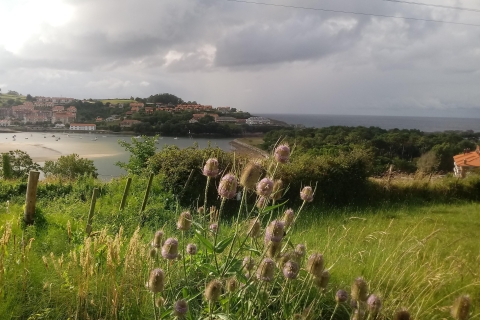Von Santander aus: Tagesausflug zu den Dörfern an der Westküste Kantabriens