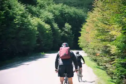 Mirador E-BIKE Beagle