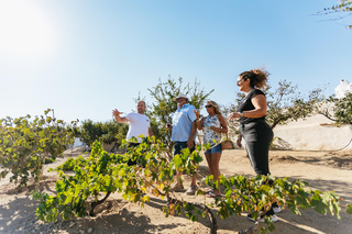 Tour gastronomici a Mykonos