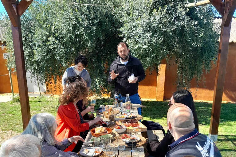 Tarragona Food and Wine Tour from Barcelona