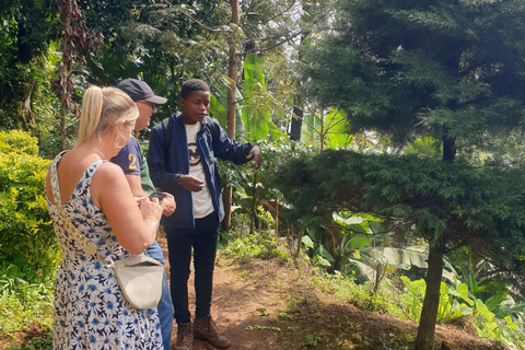 Day Trip To Materuni For Waterfall, Coffee Tour & Local Dish