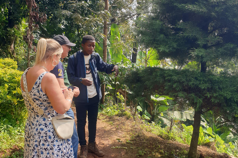 Day Trip To Materuni For Waterfall, Coffee Tour & Local Dish