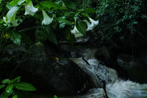 康提：兰博达瀑布和普纳瀑布，以及安布鲁瓦瓦天空塔日落康提：兰博达瀑布和普纳瀑布，以及安布卢瓦瓦天空塔日落之旅