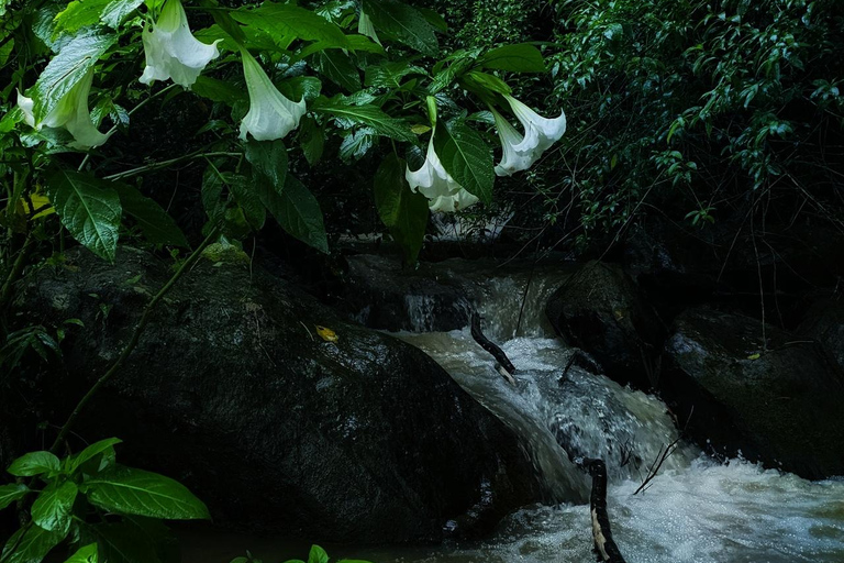 康提：兰博达瀑布和普纳瀑布，以及安布鲁瓦瓦天空塔日落康提：兰博达瀑布和普纳瀑布，以及安布卢瓦瓦天空塔日落之旅