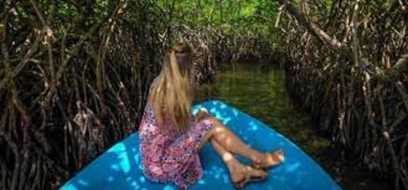 Bentota: Fluss-Safari mit Abholung vom Hotel und Rücktransfer zum Hotel