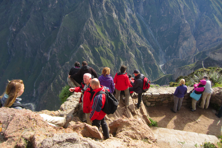 COLCA: A day trip + hike over the canyon