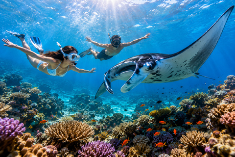 Labuan Bajo: Komodo Full Day Tour & Snorkeling with All Fees