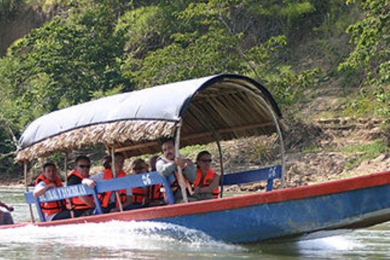 Palenque: Yaxchilán en Bonampak dagtour
