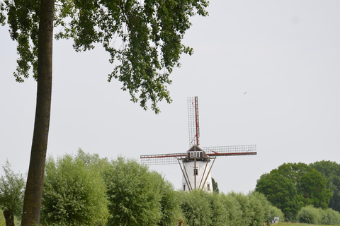 Boat trip & wine tour in Bruges