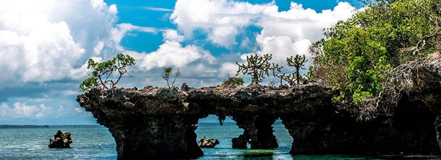 Zanzibar : excursion d'une journée Safari Blue Adventure