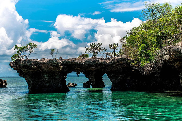 Zanzíbar: Excursión de un día Safari Blue Adventure