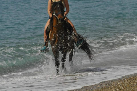 Manavgat/Side: Horse Riding on the Beach and in the Forest