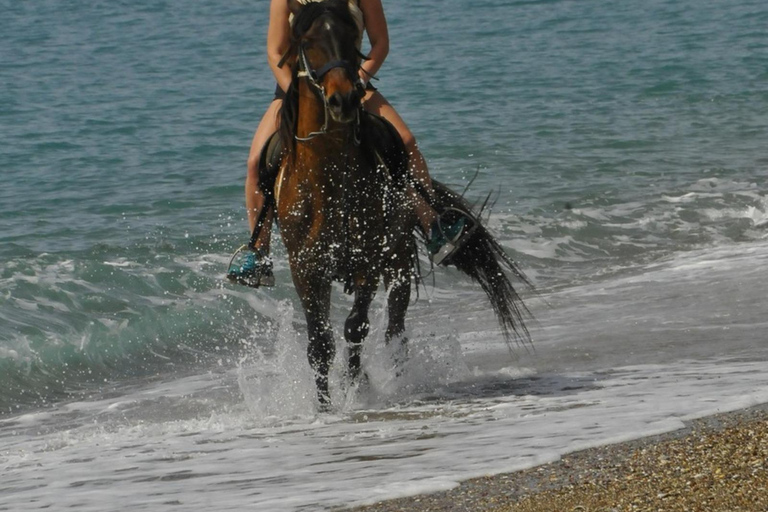 Manavgat/Side: Horse Riding on the Beach and in the Forest