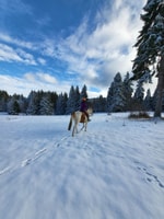 Da Borovets, esperienza di equitazione - Housity