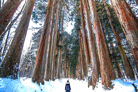 Excursion privée d'une journée aux singes des neiges et au temple ZenkojiVisite guidée privée Nagano Singes des neiges Temple Zenkoji Obuse